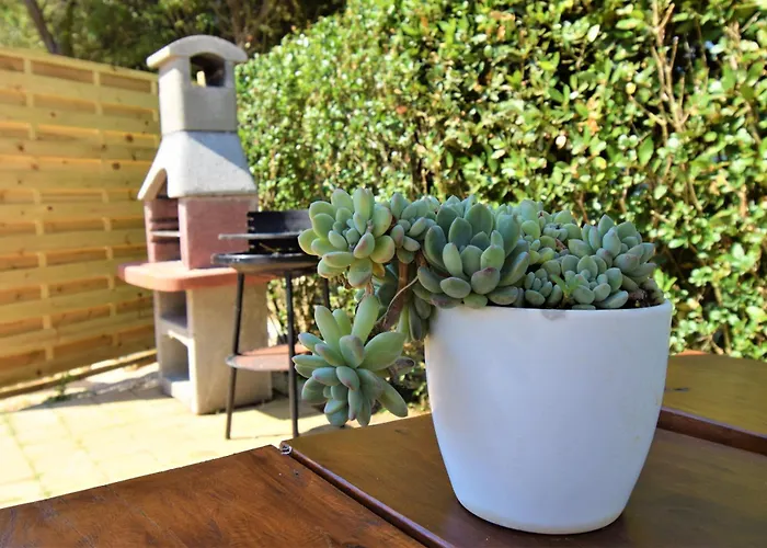 Apartment Frane & Ivanka Gabric Lopar